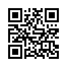 QR CODE 31