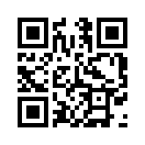 QR CODE 31