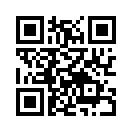 QR CODE 42