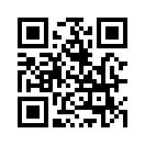 QR CODE 171