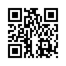 QR CODE 317