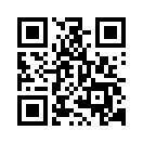 QR CODE 511