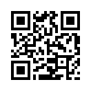 QR CODE 515