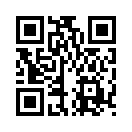 QR CODE 737