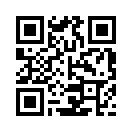 QR CODE 833