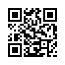 QR CODE 856