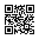 QR CODE 513
