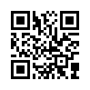 QR CODE 291