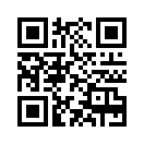 QR CODE 329