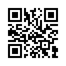 QR CODE 494