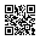 QR CODE 529