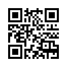 QR CODE 734