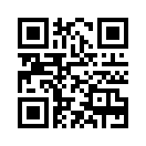 QR CODE 856