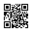 QR CODE 317