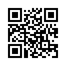 QR CODE 416