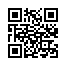 QR CODE 31