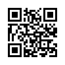 QR CODE 42