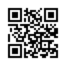 QR CODE 53