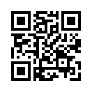 QR CODE 110