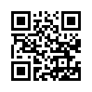 QR CODE 447