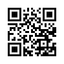 QR CODE 461