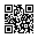 QR CODE 494