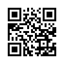 QR CODE 501