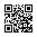 QR CODE 528