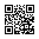 QR CODE 529