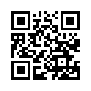QR CODE 538