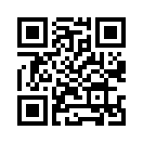 QR CODE 30