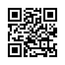 QR CODE 31