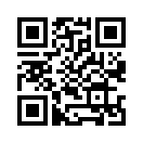 QR CODE 42