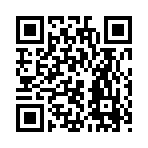 QR CODE 44