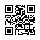 QR CODE 53