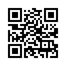 QR CODE 1333