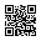 QR CODE 1381