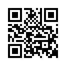 QR CODE 737