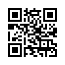 QR CODE 913