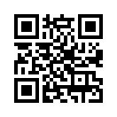 QR CODE 993