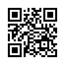 QR CODE 3133