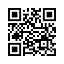 QR CODE 3239