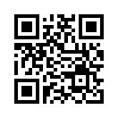 QR CODE 3771