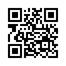 QR CODE 3838