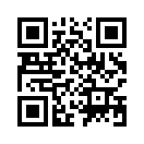 QR CODE 110