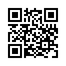 QR CODE 133
