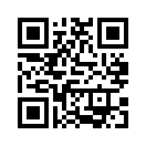 QR CODE 31