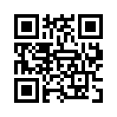 QR CODE 110