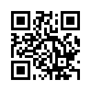 QR CODE 133