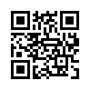 QR CODE 316